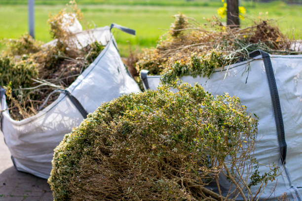 Best Moving and Downsizing Cleanouts  in Myrtle Creek, OR